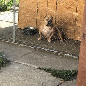 Meet your Posher, Jesse